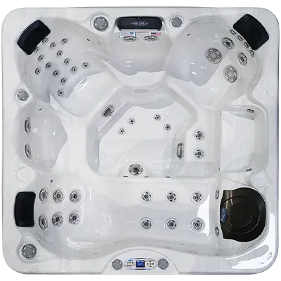 Avalon EC-849L hot tubs for sale in Chattanooga