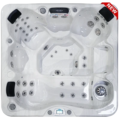Avalon-X EC-849LX hot tubs for sale in Chattanooga